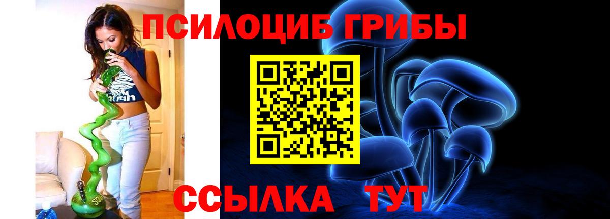 Грязи  Псилоцибиновые грибы GOLDEN TEACHER  Вход с VPN  Псилоцибиновые грибы Psilocybine cubensis 